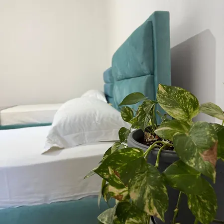 Cozy Close To The Airport Kamez