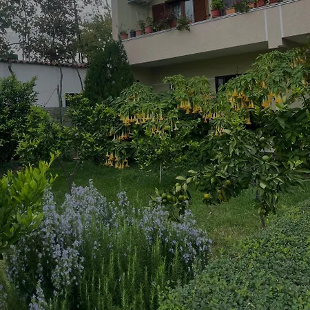 Cozy Close To The Airport Accommodatie bij particulieren Kamez