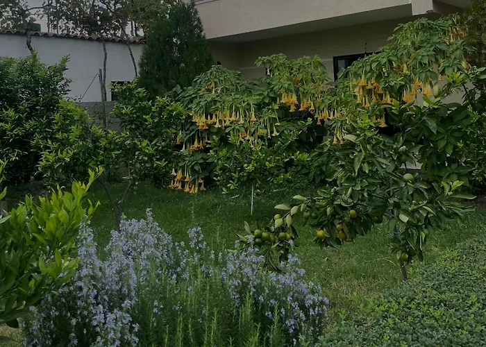 Cozy Close To The Airport 民宿 Kamez